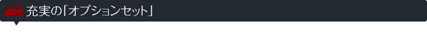 充実の「オプションセット」